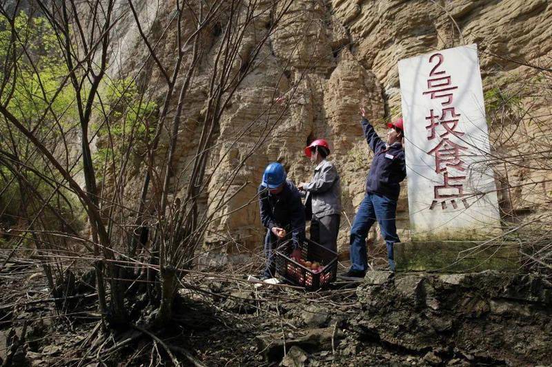 破解版家园苹果:华电乌江公司以实际行动守护生态和谐、尊重自然-第2张图片-太平洋在线下载