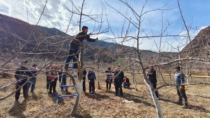 今年苹果园新闻今年苹果教育优惠-第1张图片-太平洋在线下载