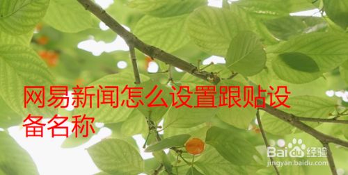 网易新闻安卓版v69996传奇盒子安卓版下载-第1张图片-太平洋在线下载