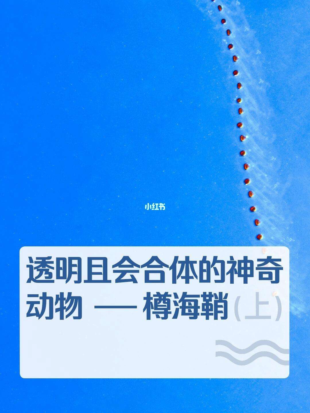 手机版怎么让生物隐身可以将游戏隐藏起来的软件