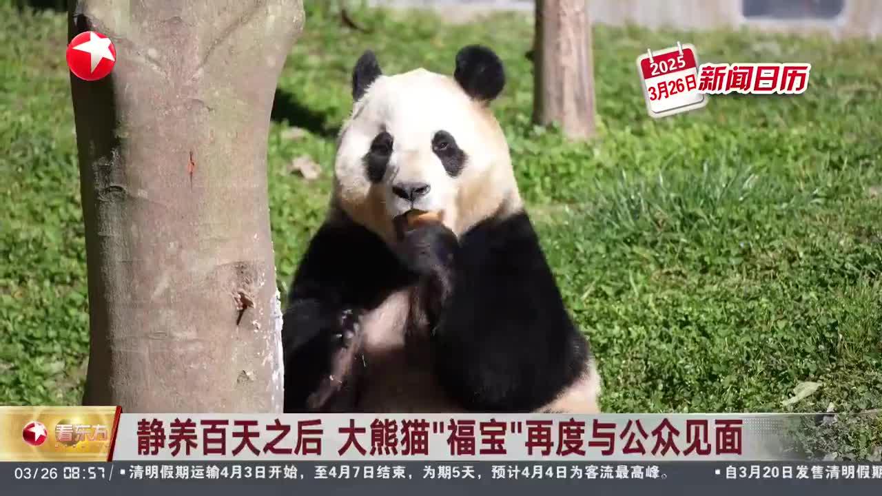 熊猫新闻客户端人民网黑龙江频道极光新闻客户端-第1张图片-太平洋在线下载