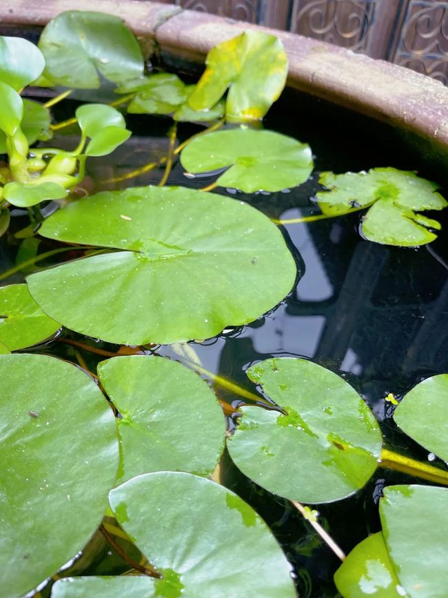 松江同乐网手机版(松江同乐路属于哪个街道) 松江同乐网手机版(松江同乐路属于哪个街道)