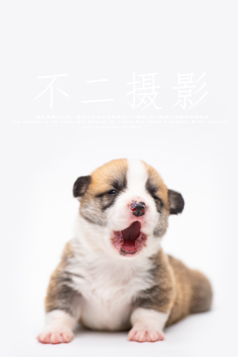 kk2014手机版(kk安卓手机客户端下载) kk2014手机版(kk安卓手机客户端下载)