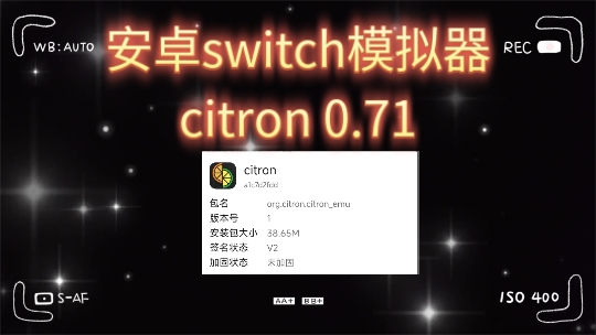 安卓模拟器下载中文版(安卓模拟器下载中文版安装)