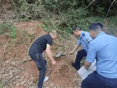 金山卫士手机版动物(手机金山卫士官方下载) 金山卫士手机版动物(手机金山卫士官方下载)