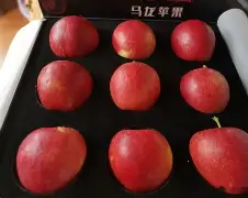 朔州版攉龙苹果版(大同攉龙游戏大厅最新版)