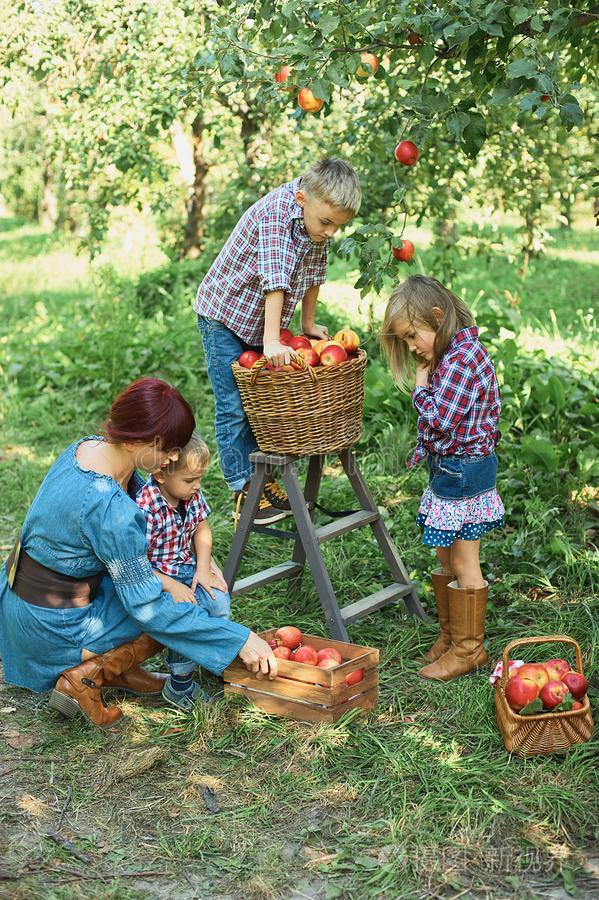 小孩版苹果(苹果小孩壁纸) 小孩版苹果(苹果小孩壁纸)