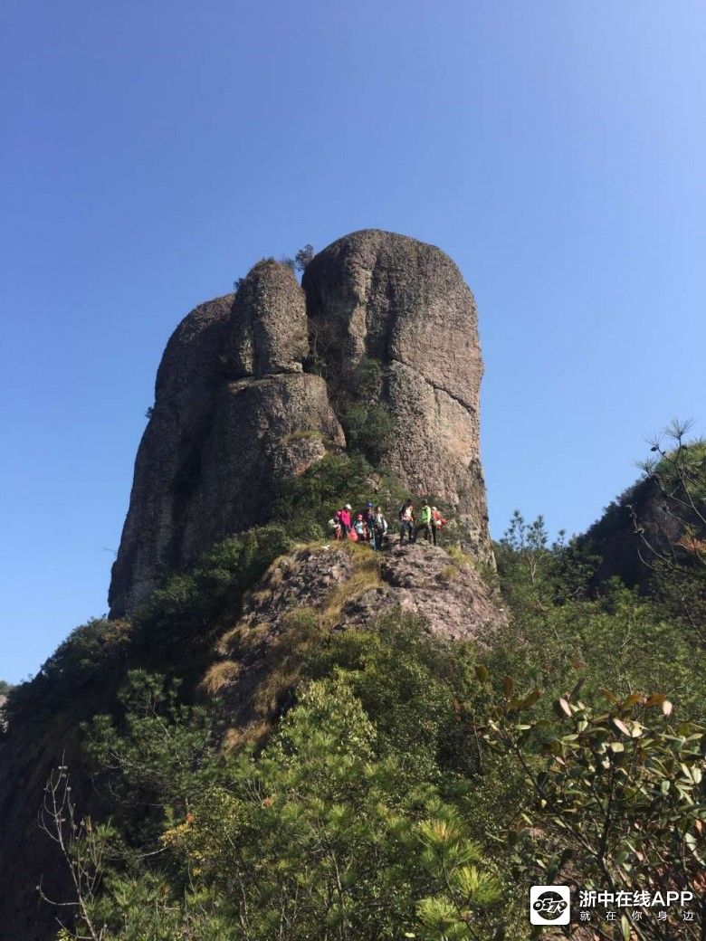 浙中在线手机版(浙中在线是什么单位)