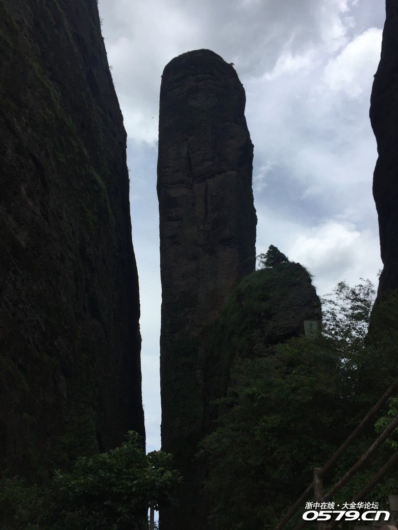 浙中在线手机版(浙中在线是什么单位)