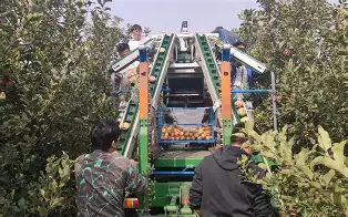 shadowroket苹果版(shadowroket ios下载)