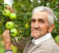 lostlif苹果版(lostlife手机破解版) lostlif苹果版(lostlife手机破解版)