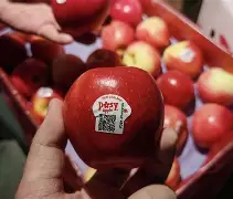 lostlif苹果版(lostlife手机破解版) lostlif苹果版(lostlife手机破解版)