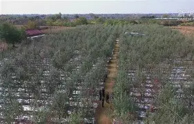 红苹果破解版版(红苹果盒子ios下载)