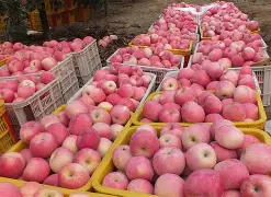 xdevios苹果版(xdevios软件官方苹果) xdevios苹果版(xdevios软件官方苹果)