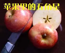西班牙版苹果5移动版(ios手游西班牙iphone畅销榜七麦) 西班牙版苹果5移动版(ios手游西班牙iphone畅销榜七麦)