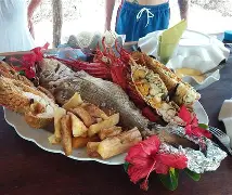 kuto苹果版(tiktokios下载) kuto苹果版(tiktokios下载)