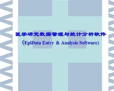 epidata苹果版(Mac版epidata软件下载步骤)