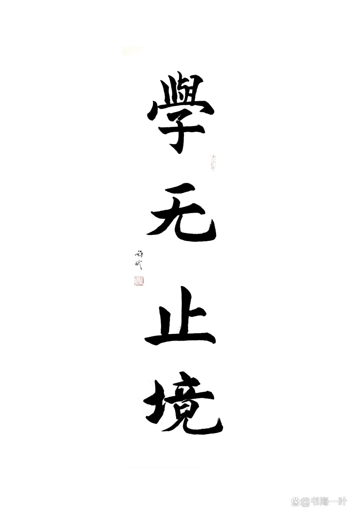 必由学手机版(必由学教育下载) 必由学手机版(必由学教育下载)