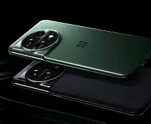 营地好基友安卓手机版(营地好基友30中文版下载)