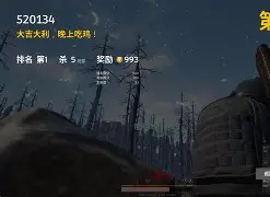 安卓版的吃鸡怎么开语音(手机吃鸡怎么开启语音对话) 安卓版的吃鸡怎么开语音(手机吃鸡怎么开启语音对话)