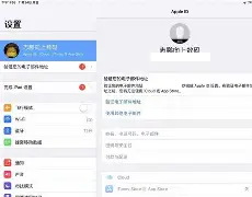 苹果版登录(苹果版登录器)