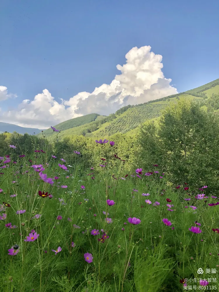 大同大智慧手机版(大同智慧党建app安卓) 大同大智慧手机版(大同智慧党建app安卓)