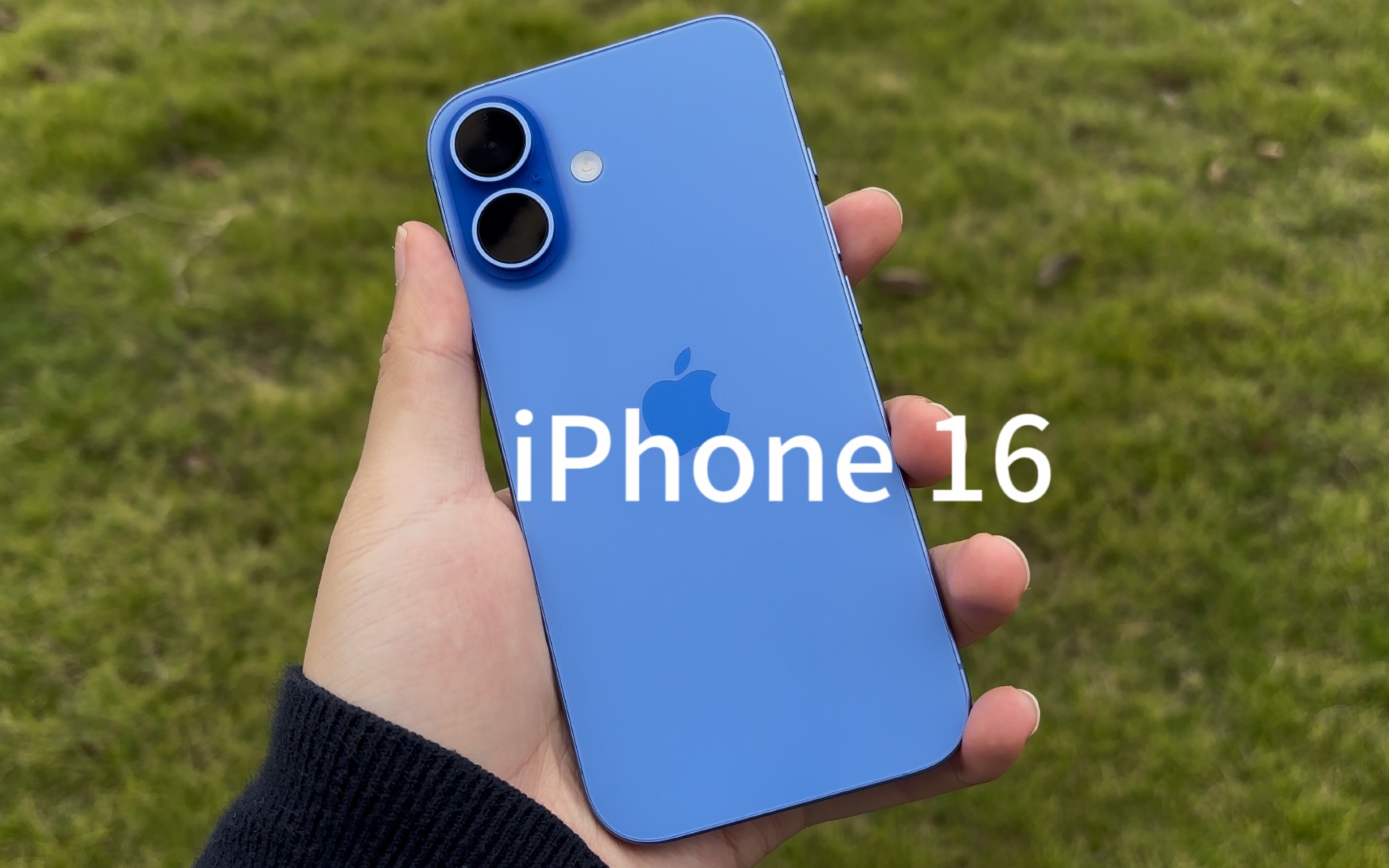 苹果版16(苹果版115不能下载链接) 苹果版16(苹果版115不能下载链接)