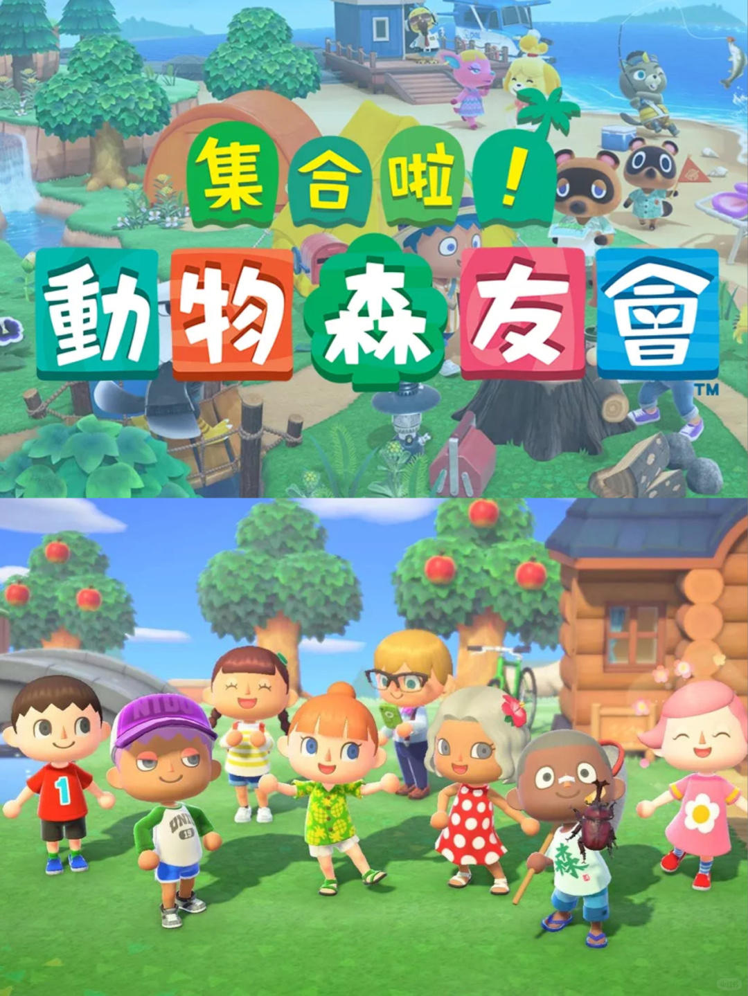 动物之森手机版word(动物之森手机版下载破解版)