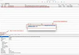 rtmp播放器手机版(支持rtmp的安卓播放器)