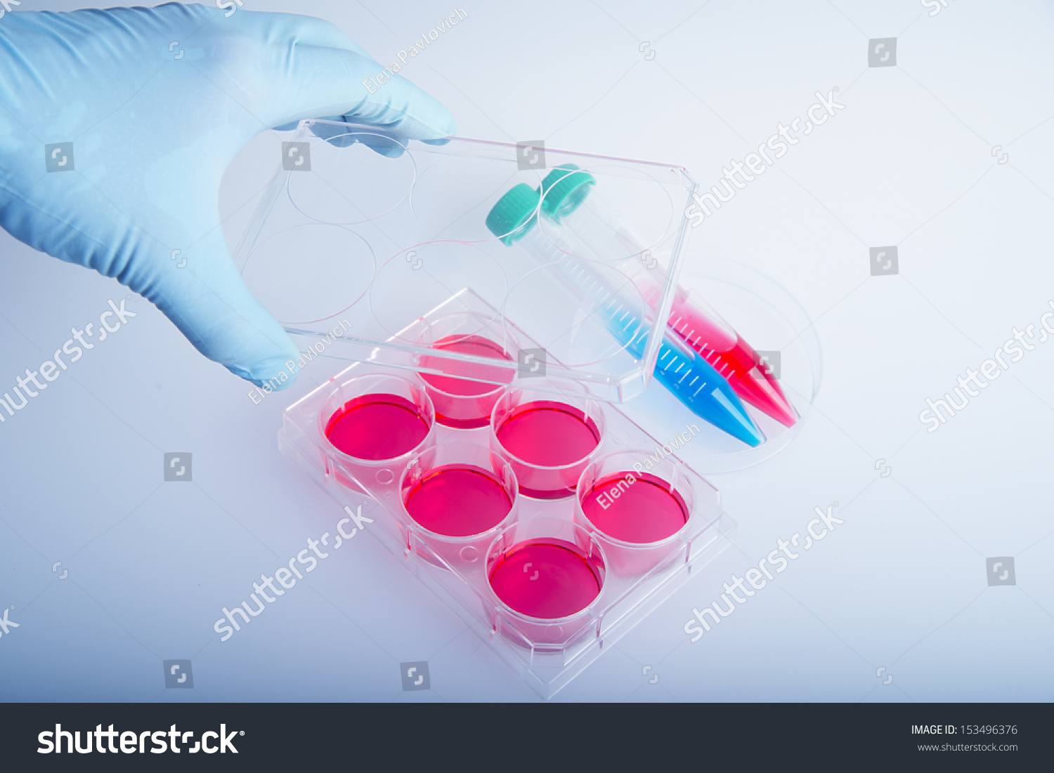 imagelab苹果版(image lab for mac) imagelab苹果版(image lab for mac)