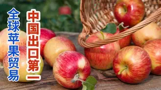 苹果俄国版(苹果手机俄罗斯版)