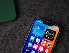 紫色苹果圆盘版(紫色苹果是什么型号)