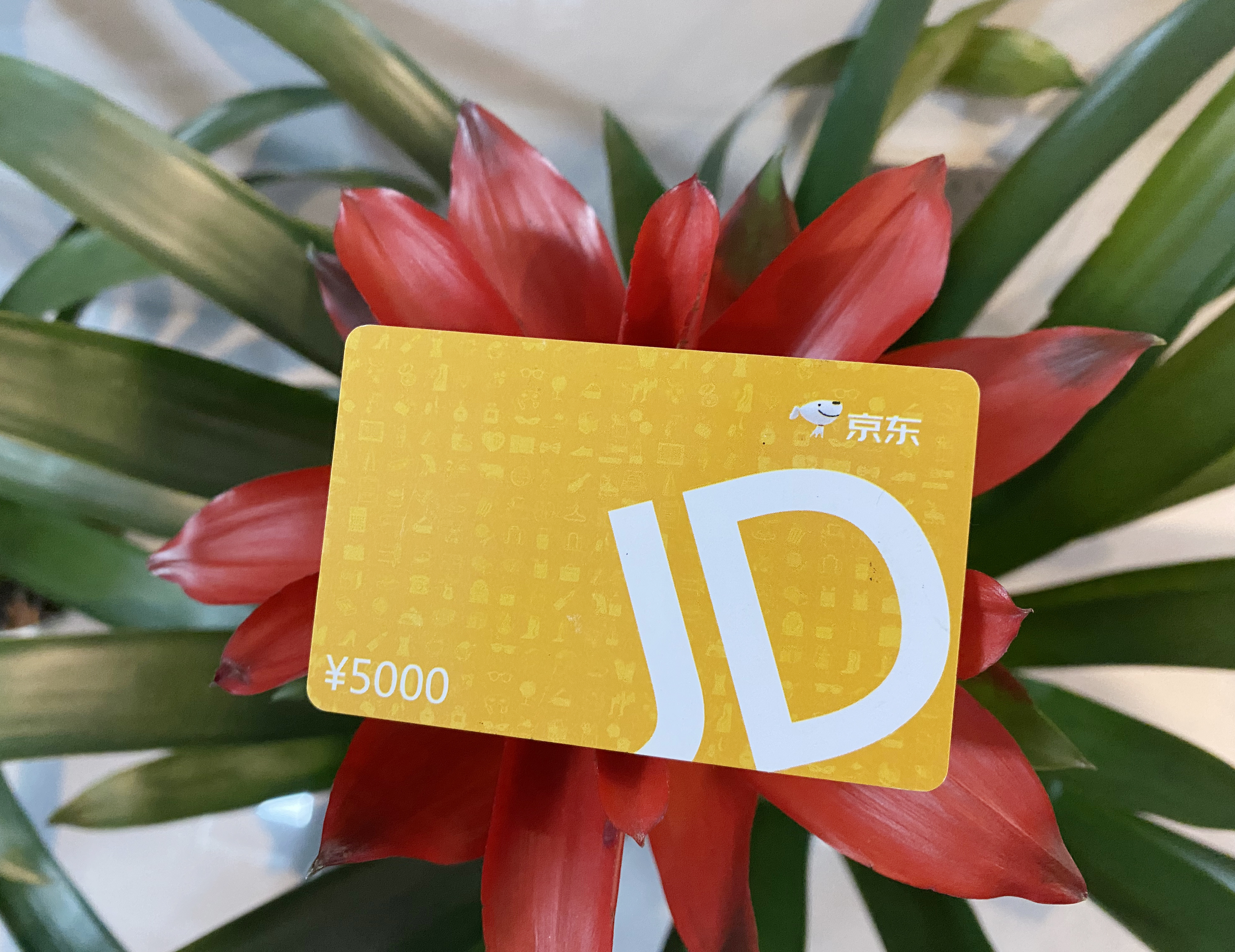 京东卡怎么用手机版(京东卡怎么用手机版绑定)