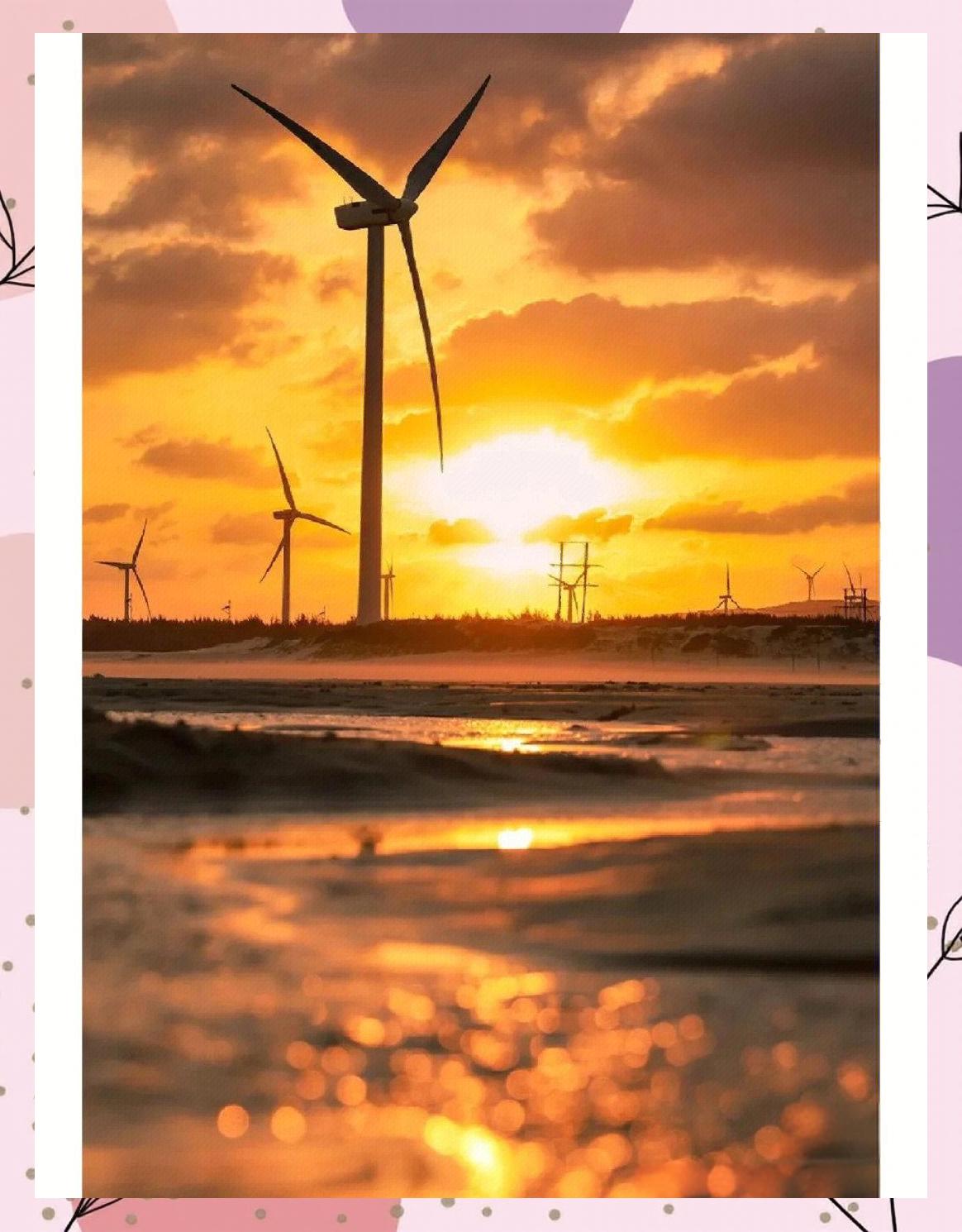 电驴hd手机版怎么搜黄(电驴hd手机版怎么搜黄色视频) 电驴hd手机版怎么搜黄(电驴hd手机版怎么搜黄色视频)