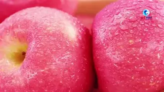 ifakelocation苹果版(ifakelocation软件拥有苹果手机定位修改功能)