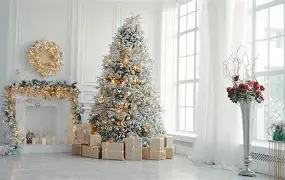 专属圣诞树安卓破解版的简单介绍 专属圣诞树安卓破解版的简单介绍