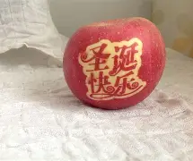 发短信苹果版(apple发短信) 发短信苹果版(apple发短信)