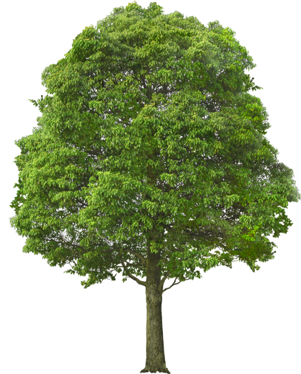 sketchup有手机版的吗(sketchup手机安卓版可以用吗) sketchup有手机版的吗(sketchup手机安卓版可以用吗)