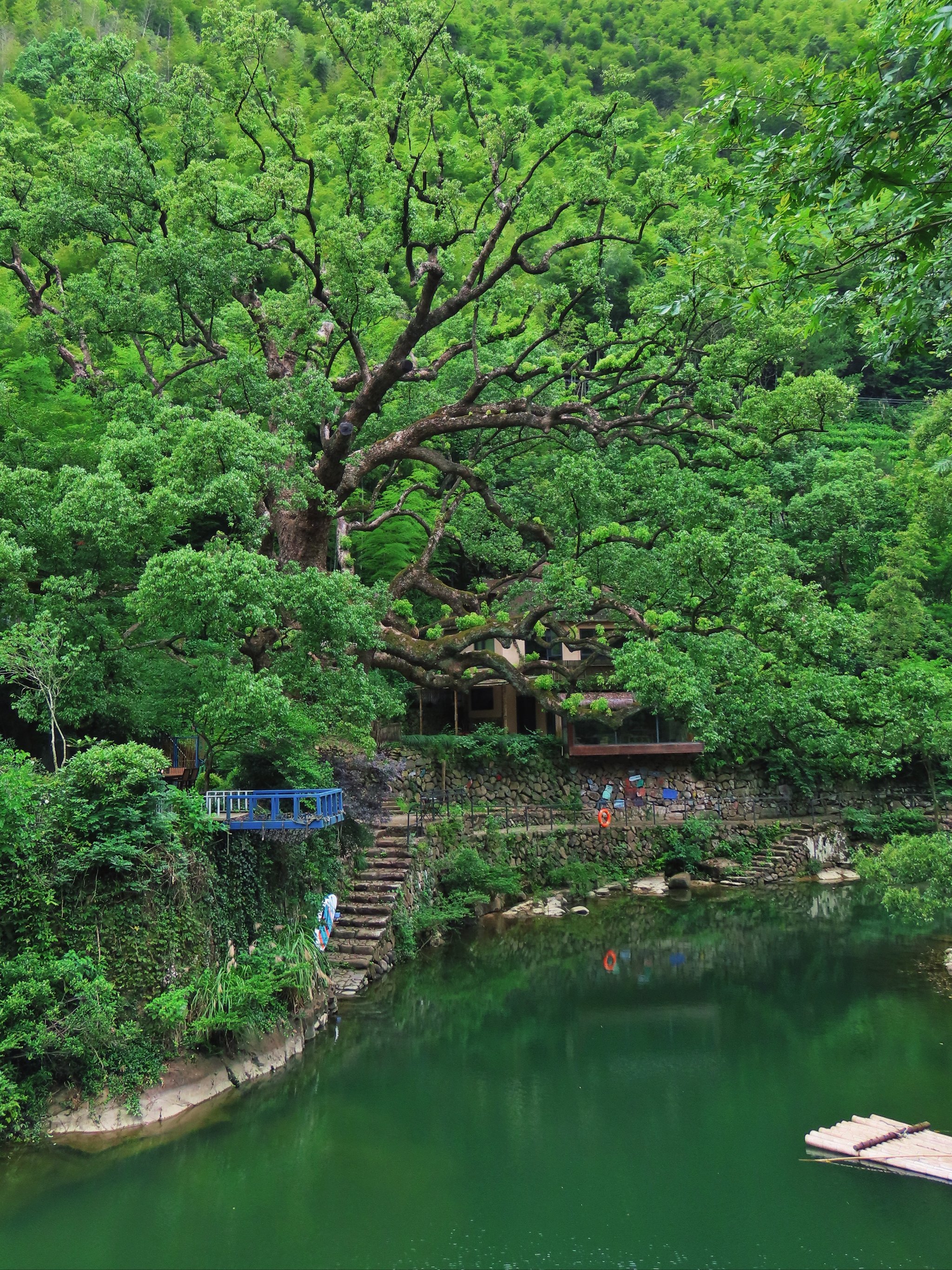 cts6有手机版吗(ct6可以连接安卓手机吗) cts6有手机版吗(ct6可以连接安卓手机吗)