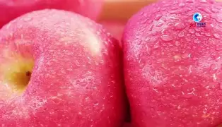 argun苹果版(argun安卓版下载)