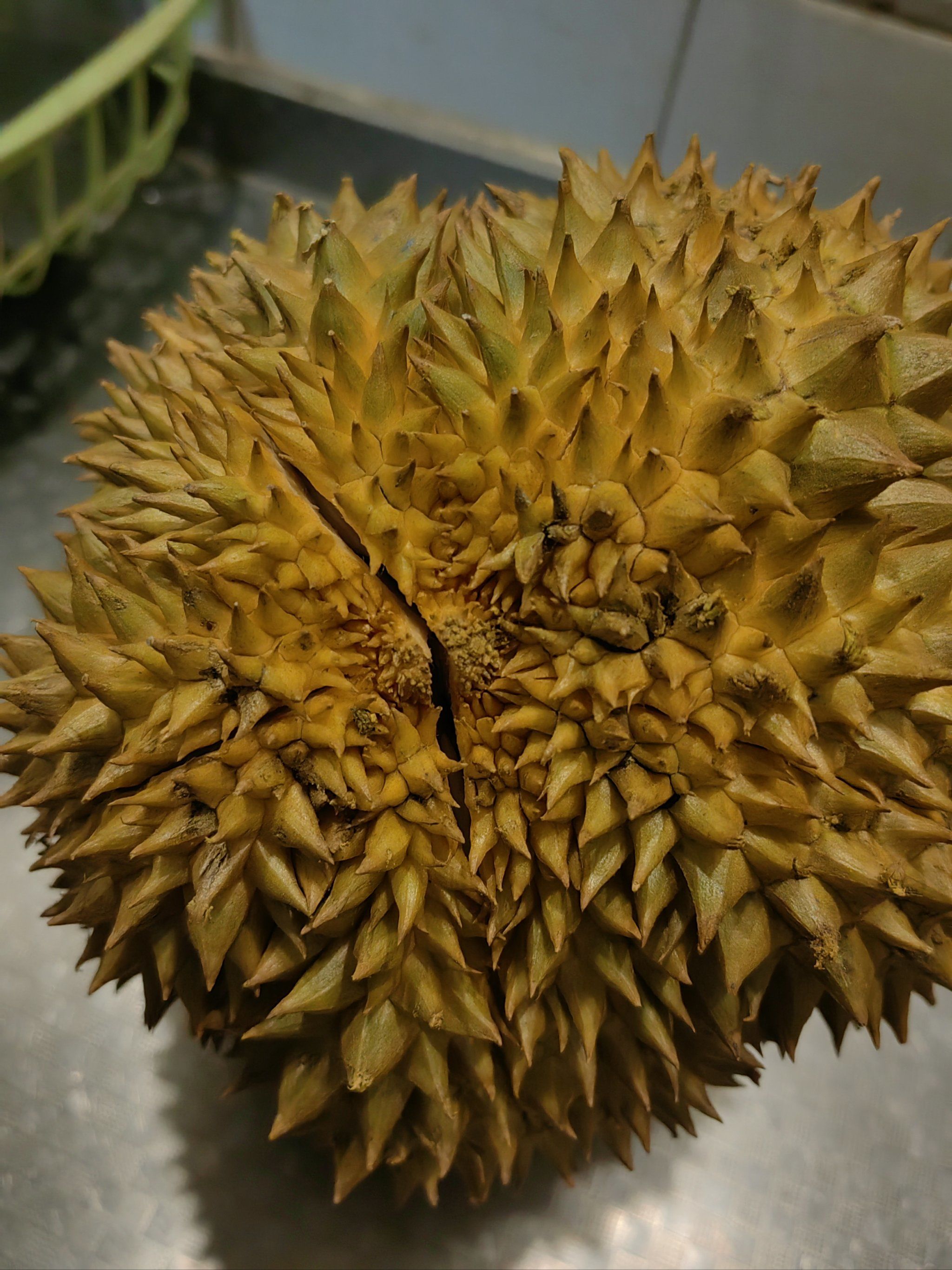 苹果版榴莲视频色版(榴莲视频苹果版app网址下载)