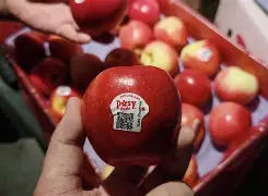 azar苹果版(ios版avatar下载) azar苹果版(ios版avatar下载)