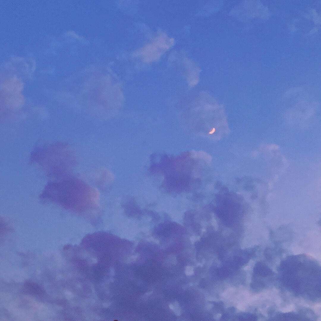 苹果版vsco破解版(vsco iphone破解版)