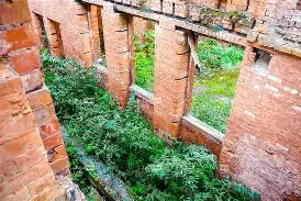 僵尸突击2疯人院安卓版(僵尸危机3手机版下载安卓)