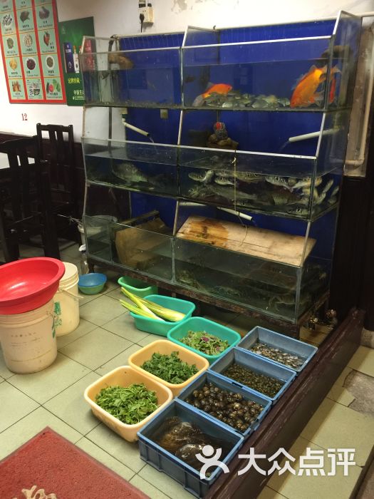 苹果版海龙(海龙软件值得购买吗) 苹果版海龙(海龙软件值得购买吗)