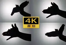 影子苹果版(影子传说手机版苹果版) 影子苹果版(影子传说手机版苹果版)