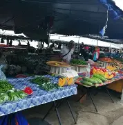 菲律宾亚星手机版登录(菲律宾马尼拉地图中文版)