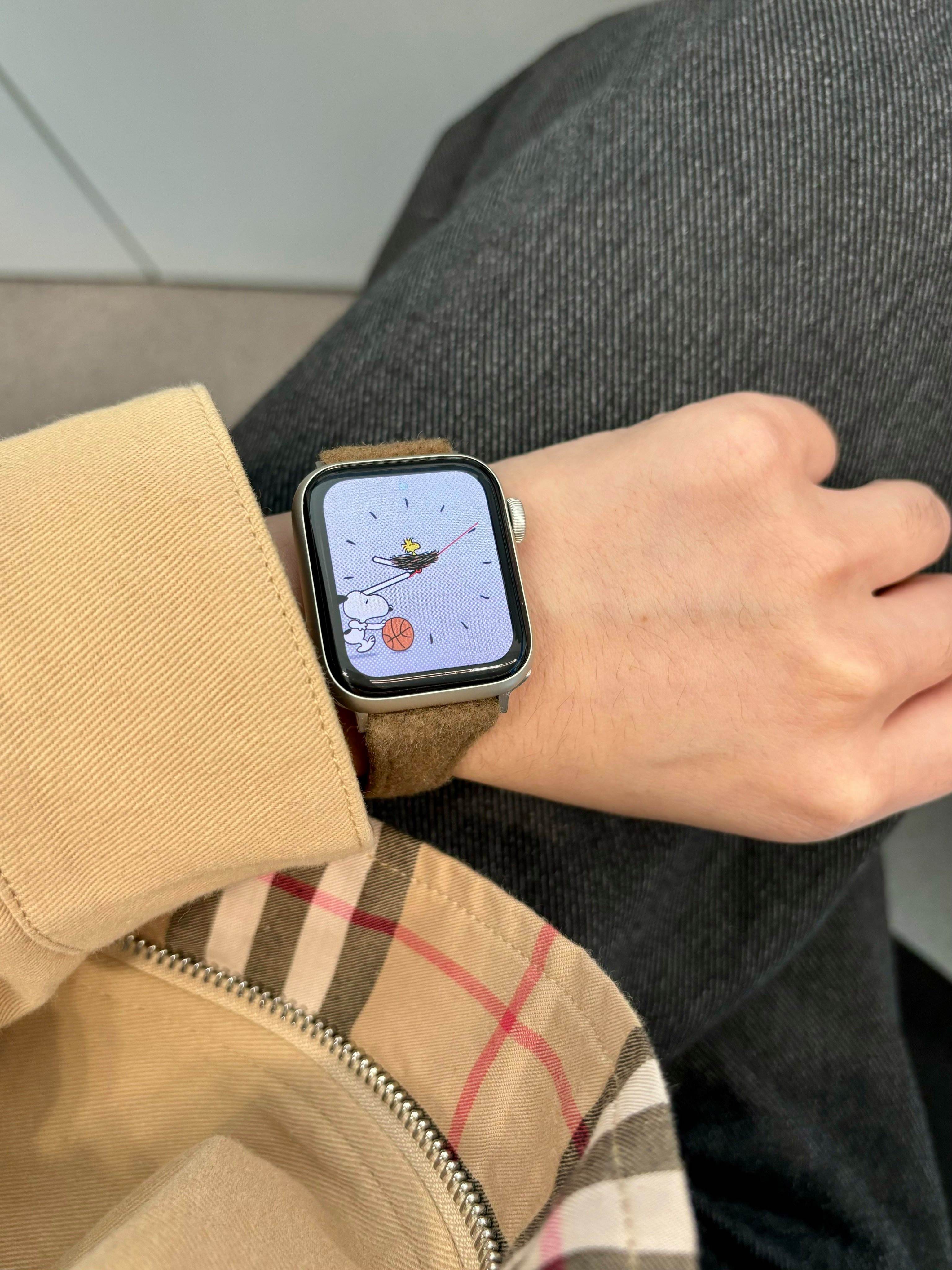 苹果se瑞士版(iphone瑞士)