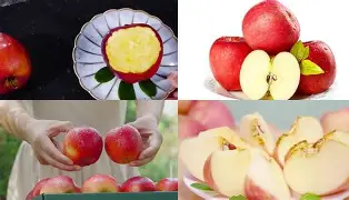 partying苹果版(partying15下载) partying苹果版(partying15下载)