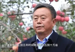 partying苹果版(partying15下载) partying苹果版(partying15下载)